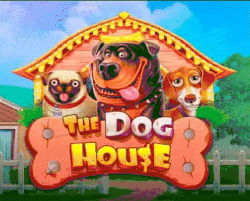 play The Dog House in winnita casino